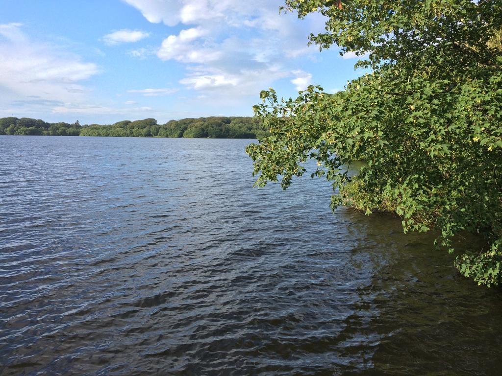 Vandrerhjem Mosvangen